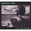 Deniz Tek ‎– Lost For Words LP